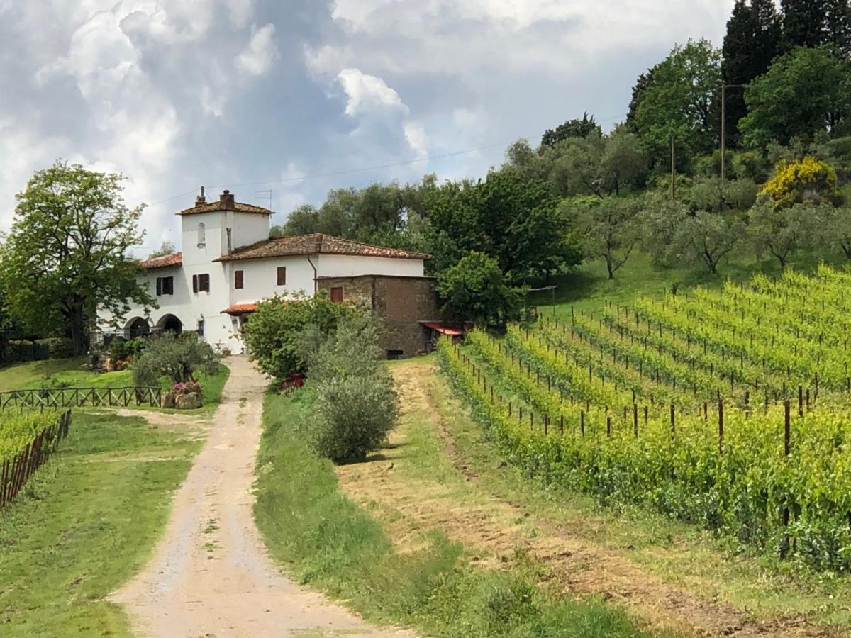 Azienda Agricola Il Poggiolino Villa Pelago Kültér fotó