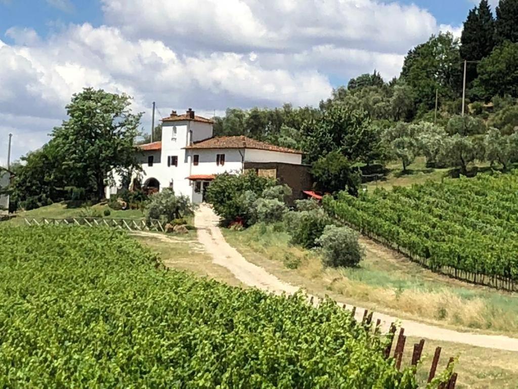 Azienda Agricola Il Poggiolino Villa Pelago Kültér fotó