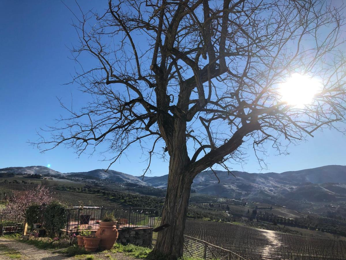 Azienda Agricola Il Poggiolino Villa Pelago Kültér fotó