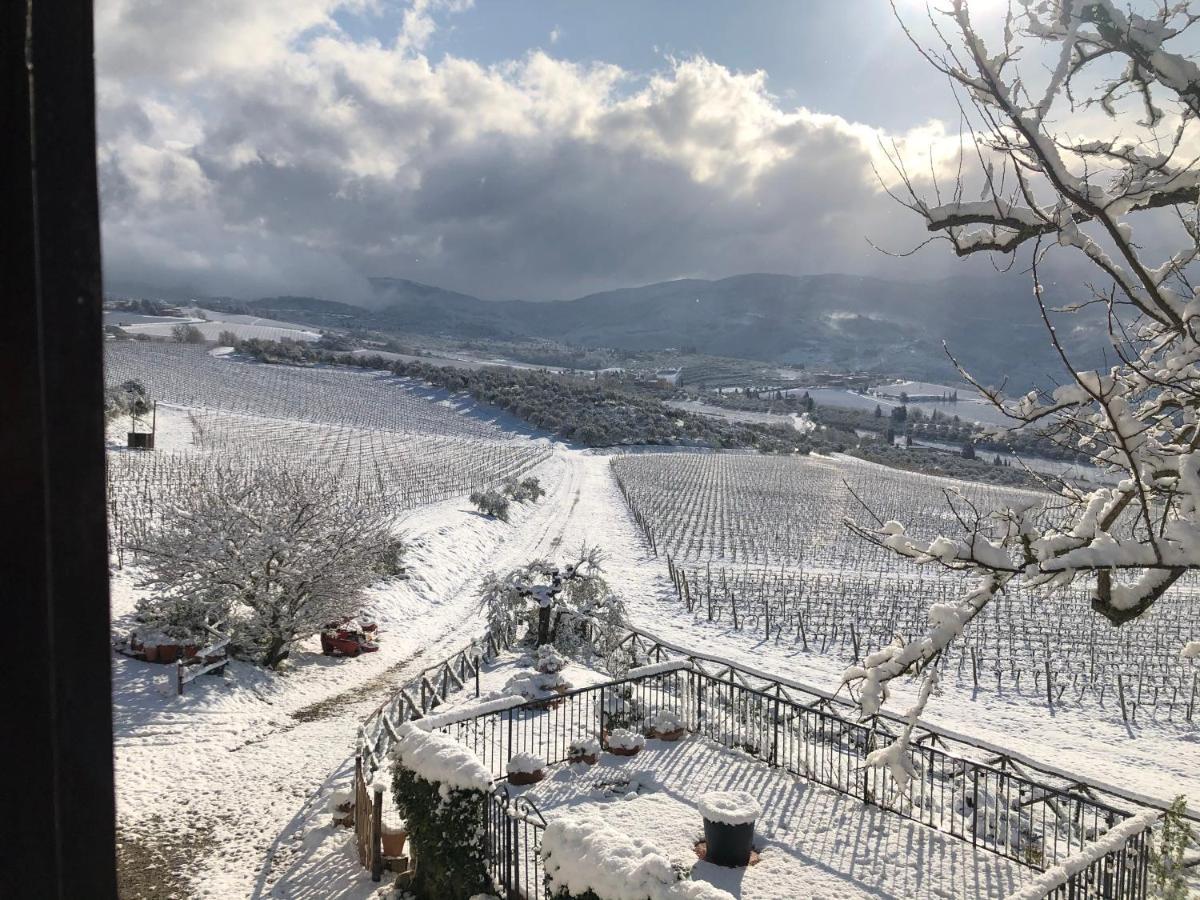 Azienda Agricola Il Poggiolino Villa Pelago Kültér fotó