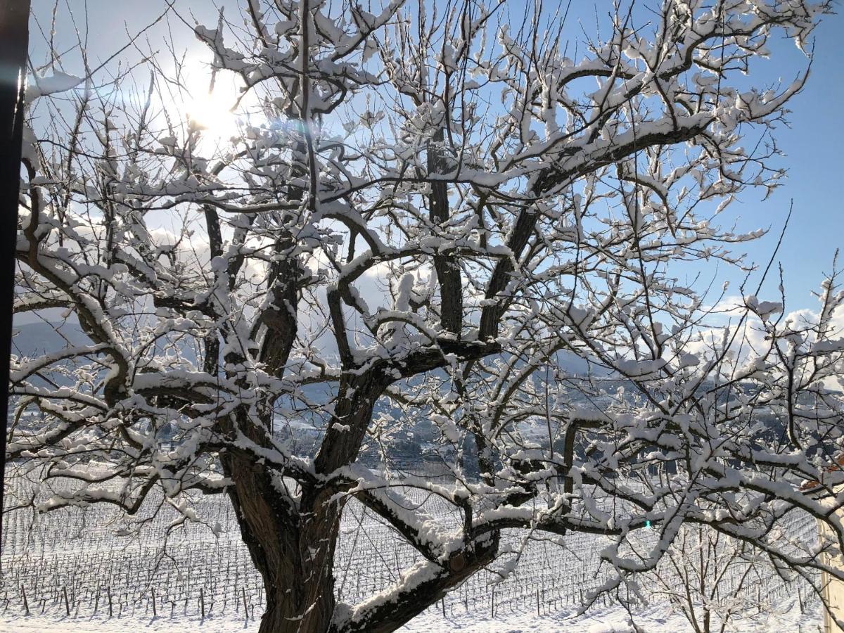 Azienda Agricola Il Poggiolino Villa Pelago Kültér fotó