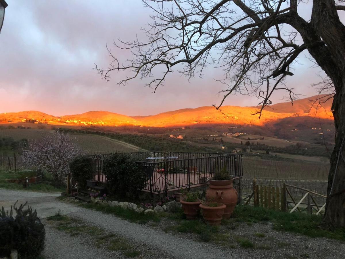 Azienda Agricola Il Poggiolino Villa Pelago Kültér fotó