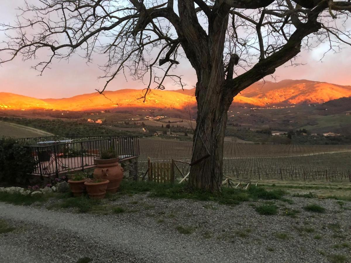 Azienda Agricola Il Poggiolino Villa Pelago Kültér fotó