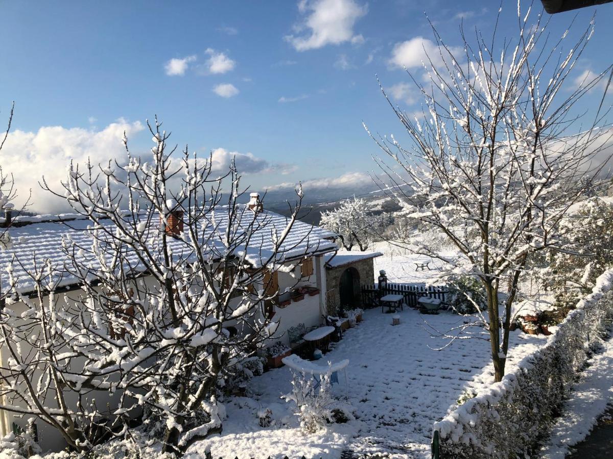 Azienda Agricola Il Poggiolino Villa Pelago Kültér fotó