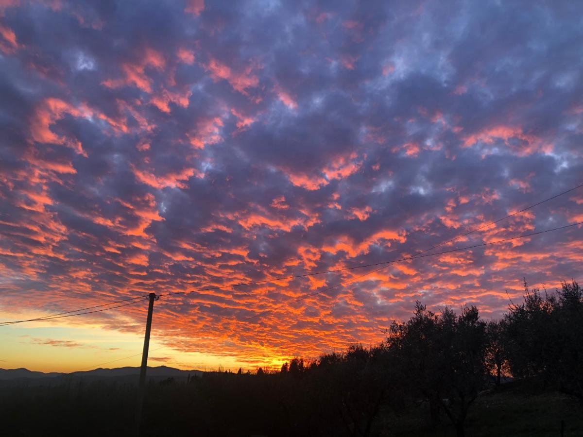 Azienda Agricola Il Poggiolino Villa Pelago Kültér fotó