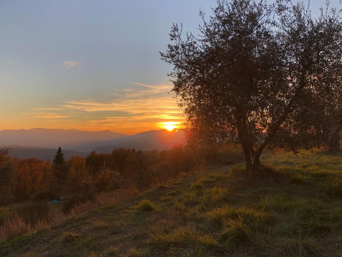 Azienda Agricola Il Poggiolino Villa Pelago Kültér fotó