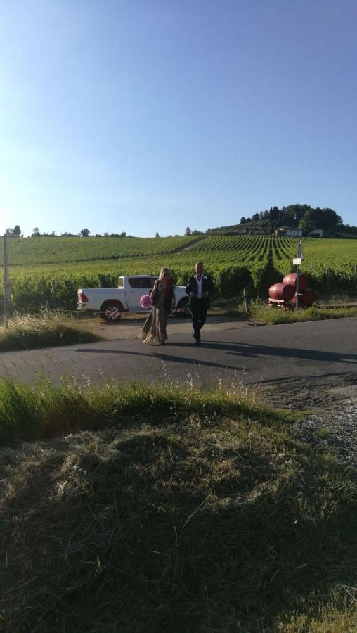 Azienda Agricola Il Poggiolino Villa Pelago Kültér fotó