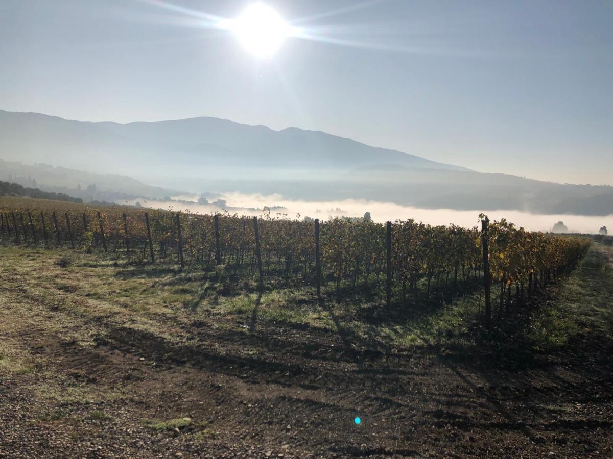 Azienda Agricola Il Poggiolino Villa Pelago Kültér fotó