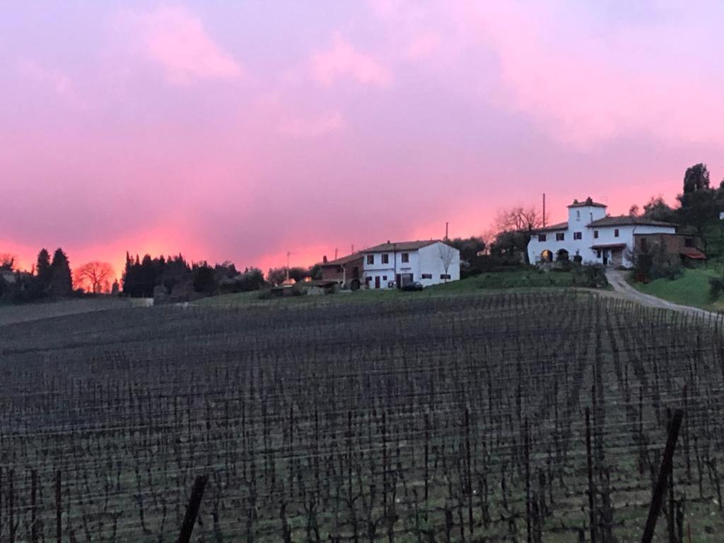 Azienda Agricola Il Poggiolino Villa Pelago Kültér fotó