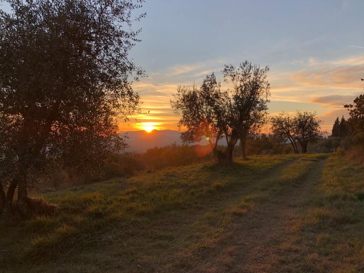 Azienda Agricola Il Poggiolino Villa Pelago Kültér fotó